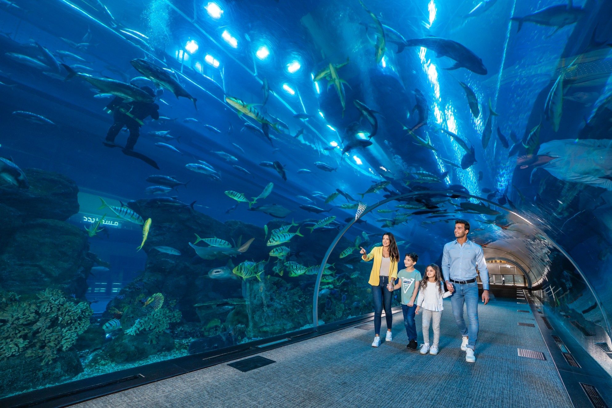 The Dubai Aquarium and Underwater Zoo