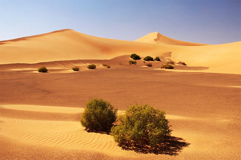 rub-al-khali-desert