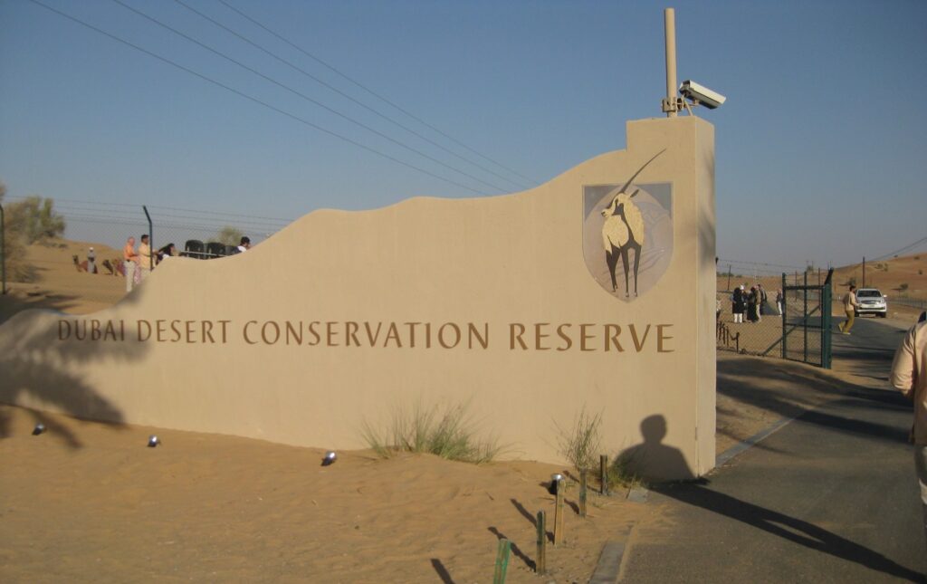 Dubai-Desert-Conservation-Reserve