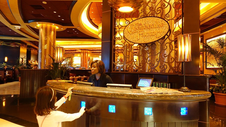 Dubai Aquarium and Underwater Zoo: A Thrilling Marine Adventure Awaits 9 the-cheesecake-factory